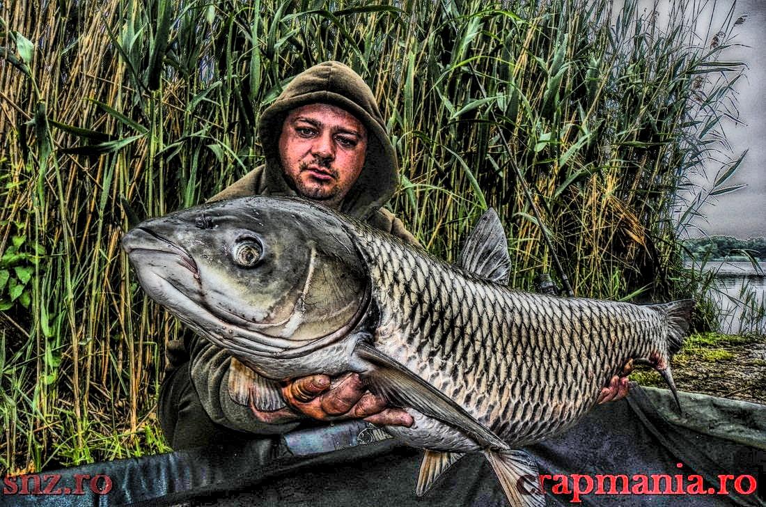 Crapmania (2) - 2013 - 1010385-2hdrmode2.JPG